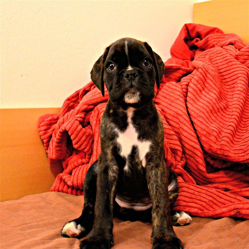 7 weeks